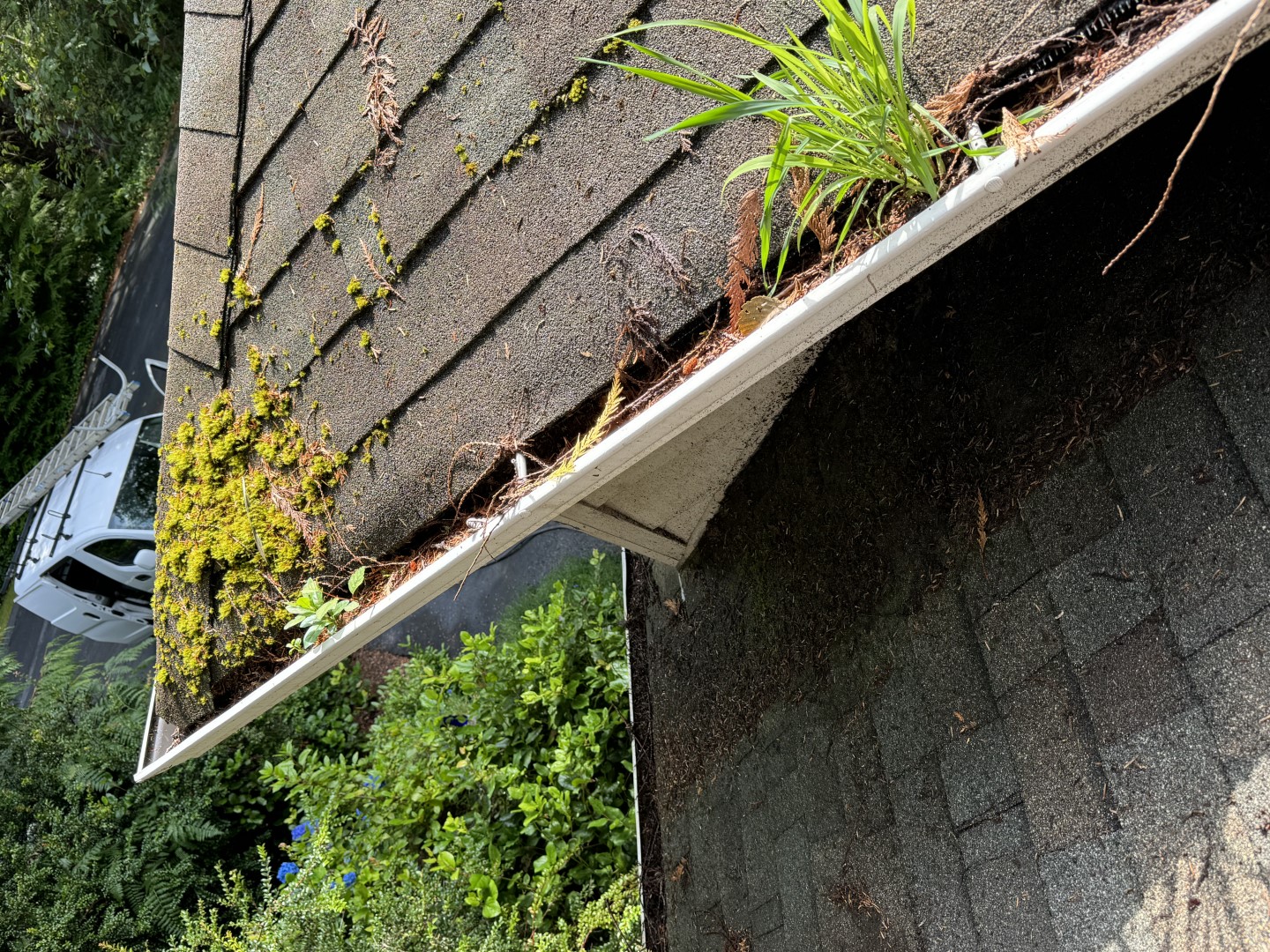 Roof and gutter cleaning in Lincoln City, OR