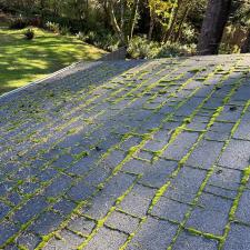 Soft-Wash-And-Moss-Removal-in-Lincoln-City-OR 2